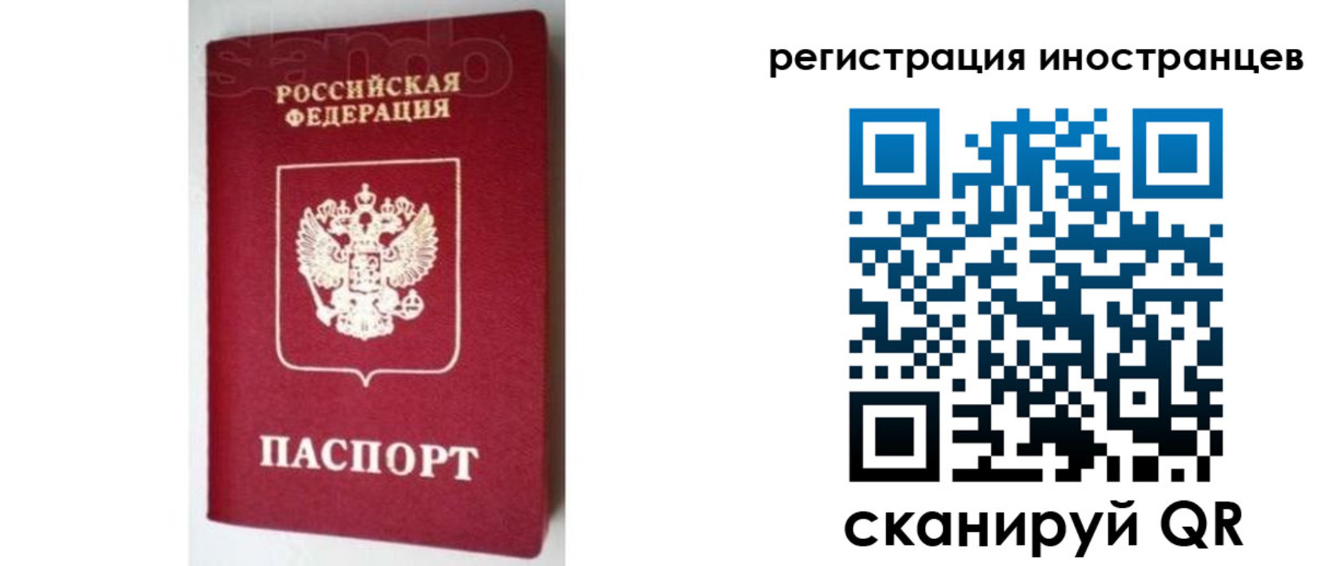 прописка для работы в Жукове